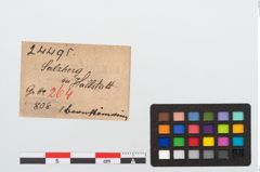 Etikett zu Bernsteinring (NHMW-PRAE-024495)